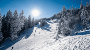 Skiërs dalen af op een zonnige piste in een van de beste skigebieden in Oostenrijk, omringd door besneeuwde dennenbomen