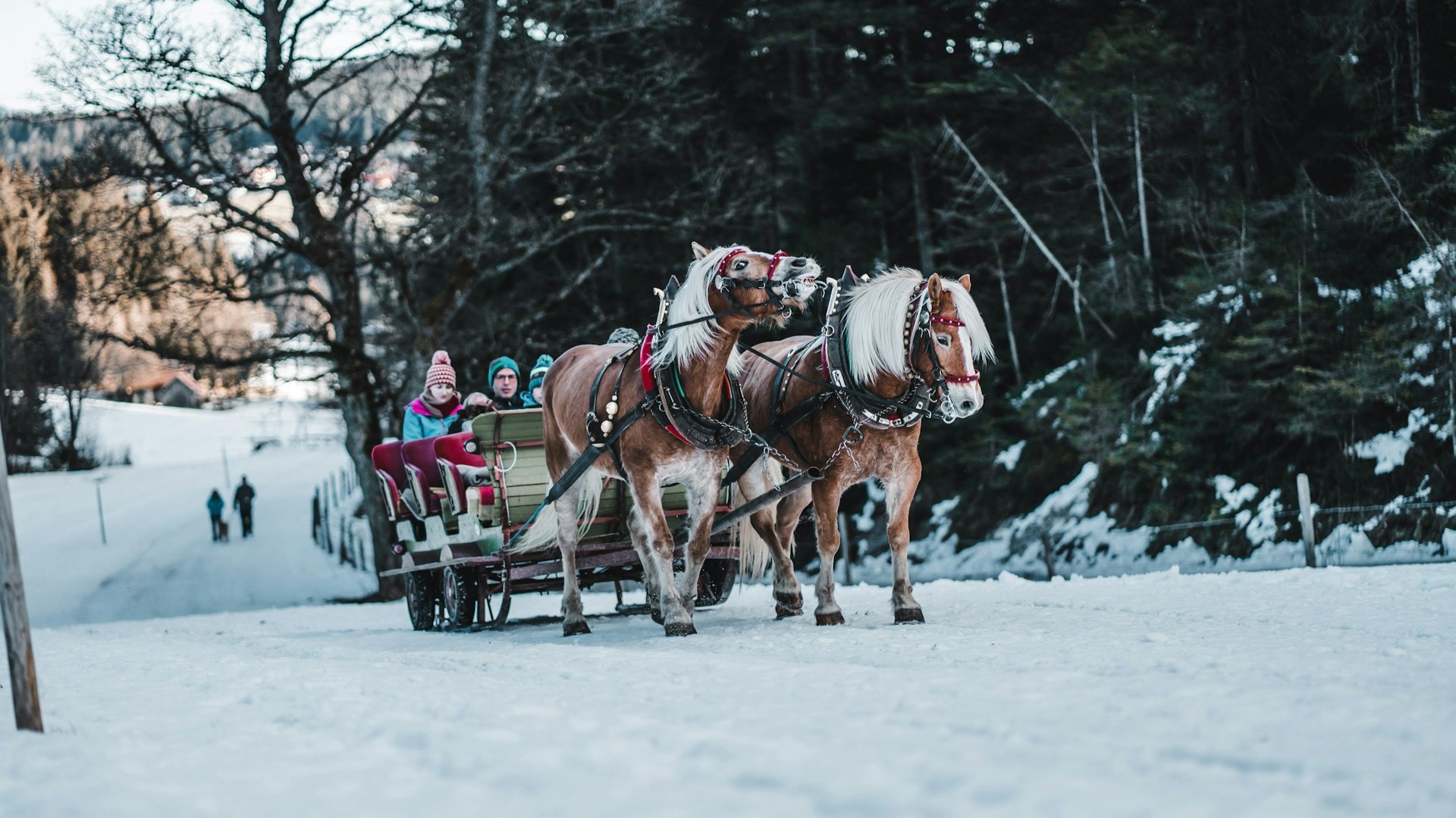 Beste skigebieden Frankrijk met paardenslee in een besneeuwd bergdorp tussen de winterse bossen